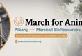 March for Animals