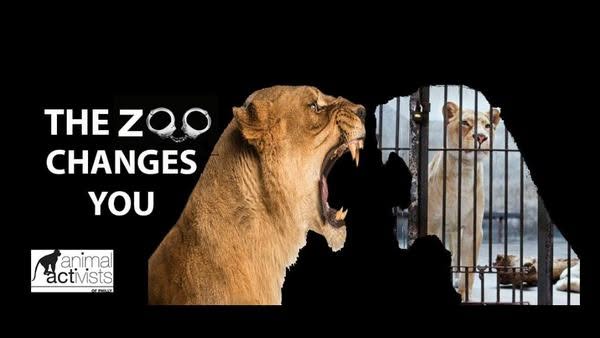 Animal ACTivists of Philly