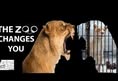 Animal ACTivists of Philly