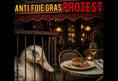 FEF Campaigns