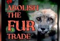 FEF Campaigns