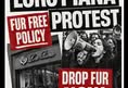FEF Campaigns